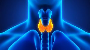 Hypothyroidism Causes And Symptoms